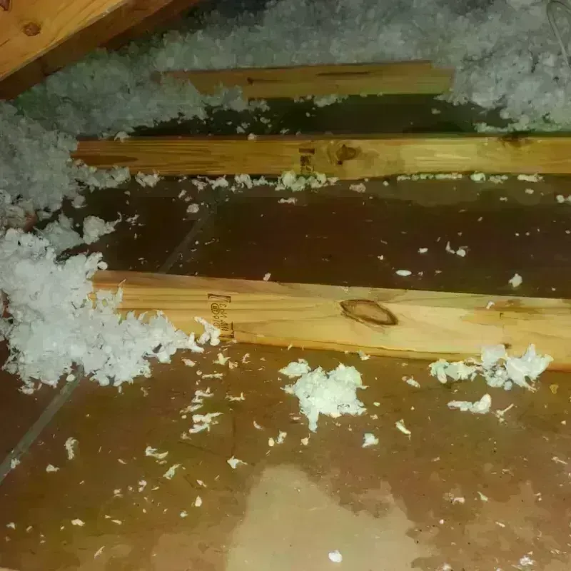 Attic Water Damage in Amsterdam, NY