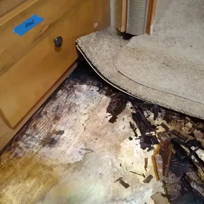 Best Wood Floor Water Damage Service in Amsterdam, NY